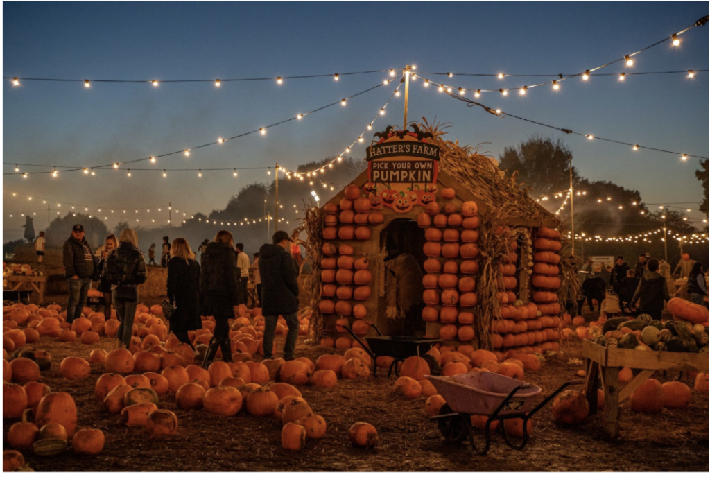 Essex’s Hatters Farm Named Best British Pumpkin Patch 2025
