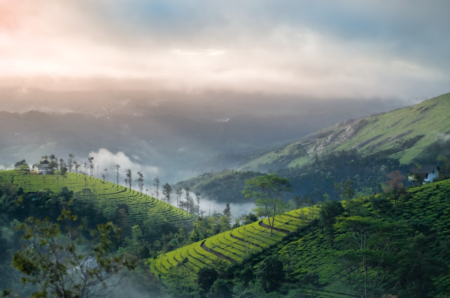 Munnar Through the Seasons: When to Visit and What to Expect