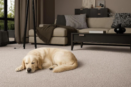 S&R Carpets Takes Flooring Nationwide with Carpets Online Launch S&R Carpets Takes Flooring Nationwide with Carpets Online Launch
